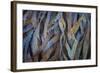 Sculptural Metal VII-Kathy Mahan-Framed Photographic Print