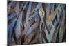 Sculptural Metal VII-Kathy Mahan-Mounted Photographic Print