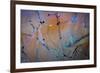 Sculptural Metal XI-Kathy Mahan-Framed Photographic Print