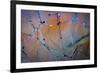 Sculptural Metal XI-Kathy Mahan-Framed Photographic Print