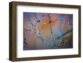 Sculptural Metal XI-Kathy Mahan-Framed Photographic Print