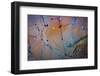 Sculptural Metal XI-Kathy Mahan-Framed Photographic Print