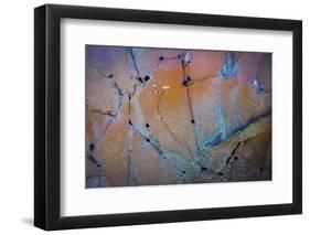 Sculptural Metal XI-Kathy Mahan-Framed Photographic Print