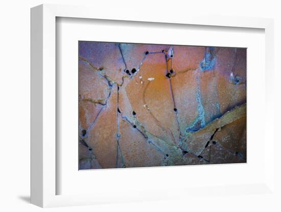 Sculptural Metal XI-Kathy Mahan-Framed Photographic Print