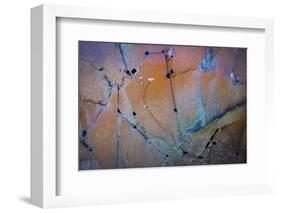 Sculptural Metal XI-Kathy Mahan-Framed Photographic Print