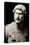 Sculpture Bust of the Emperor Hadrian-null-Stretched Canvas