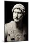 Sculpture Bust of the Emperor Hadrian-null-Mounted Photographic Print