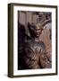 Sculpture from Church of St Charles Borromeo, 1615-1625, Antwerp, Belgium-null-Framed Giclee Print