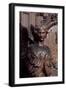 Sculpture from Church of St Charles Borromeo, 1615-1625, Antwerp, Belgium-null-Framed Giclee Print