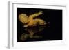 Sculpture in Palazzo Pitti by Andre Burian-André Burian-Framed Photographic Print