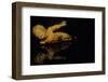 Sculpture in Palazzo Pitti by Andre Burian-André Burian-Framed Photographic Print