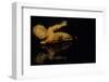 Sculpture in Palazzo Pitti by Andre Burian-André Burian-Framed Photographic Print