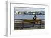 Sculpture of a man sitting on a park bench in front of Tjornin Lake and the Historic Centre of Rykj-Miles Ertman-Framed Photographic Print