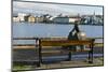 Sculpture of a man sitting on a park bench in front of Tjornin Lake and the Historic Centre of Rykj-Miles Ertman-Mounted Photographic Print