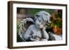 Sculpture of an Angel-Frank May-Framed Photo