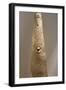 Sculpture of Bakor-Clan-null-Framed Giclee Print