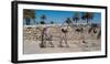 Sculpture of horse at Tel Megiddo, Galilee, Israel-null-Framed Photographic Print