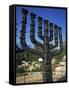 Sculpture of Menorah Near the Knesset in Jerusalem, Israel, Middle East-Simanor Eitan-Framed Stretched Canvas
