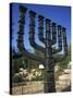 Sculpture of Menorah Near the Knesset in Jerusalem, Israel, Middle East-Simanor Eitan-Stretched Canvas