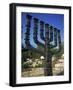 Sculpture of Menorah Near the Knesset in Jerusalem, Israel, Middle East-Simanor Eitan-Framed Photographic Print