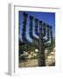 Sculpture of Menorah Near the Knesset in Jerusalem, Israel, Middle East-Simanor Eitan-Framed Photographic Print