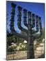 Sculpture of Menorah Near the Knesset in Jerusalem, Israel, Middle East-Simanor Eitan-Mounted Photographic Print