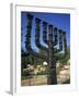 Sculpture of Menorah Near the Knesset in Jerusalem, Israel, Middle East-Simanor Eitan-Framed Photographic Print