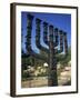 Sculpture of Menorah Near the Knesset in Jerusalem, Israel, Middle East-Simanor Eitan-Framed Photographic Print