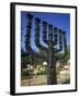 Sculpture of Menorah Near the Knesset in Jerusalem, Israel, Middle East-Simanor Eitan-Framed Photographic Print