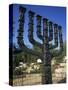 Sculpture of Menorah Near the Knesset in Jerusalem, Israel, Middle East-Simanor Eitan-Stretched Canvas