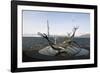 Sculpture of the Sun Voyager, the Harbour, Reykjavik, Iceland, Polar Regions-Ethel Davies-Framed Photographic Print