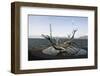 Sculpture of the Sun Voyager, the Harbour, Reykjavik, Iceland, Polar Regions-Ethel Davies-Framed Photographic Print