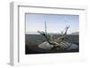 Sculpture of the Sun Voyager, the Harbour, Reykjavik, Iceland, Polar Regions-Ethel Davies-Framed Photographic Print