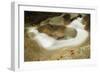Sculptured Rocks Near the Basin in New Hampshire's Franconia Notch SP-Jerry & Marcy Monkman-Framed Photographic Print