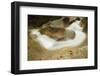 Sculptured Rocks Near the Basin in New Hampshire's Franconia Notch SP-Jerry & Marcy Monkman-Framed Photographic Print