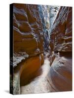 Sculptured sandstone formations in Little Wild Horse Canyon, San Rafael Swell, Utah, USA-Charles Crust-Stretched Canvas