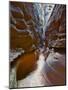 Sculptured sandstone formations in Little Wild Horse Canyon, San Rafael Swell, Utah, USA-Charles Crust-Mounted Photographic Print