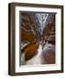 Sculptured sandstone formations in Little Wild Horse Canyon, San Rafael Swell, Utah, USA-Charles Crust-Framed Photographic Print