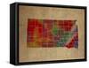 SD Colorful Counties-Red Atlas Designs-Framed Stretched Canvas