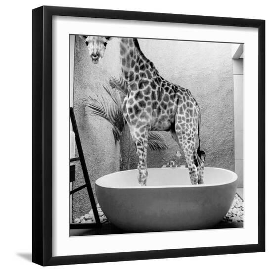Premium Photographic Print, , large