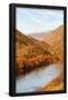 Essential Black