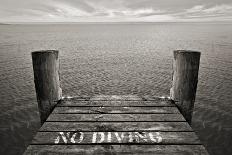 No Diving-SD Smart-Photographic Print