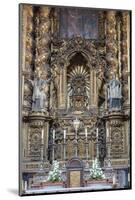 Se Do Porto, Europe, Portugal, Oporto, Altar-Lisa S. Engelbrecht-Mounted Photographic Print