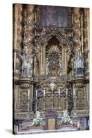 Se Do Porto, Europe, Portugal, Oporto, Altar-Lisa S. Engelbrecht-Stretched Canvas