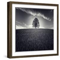 Se Va La Vida-Luis Beltran-Framed Photographic Print