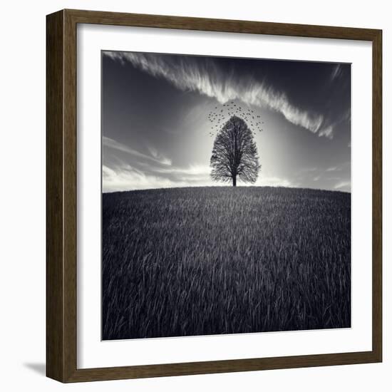 Se Va La Vida-Luis Beltran-Framed Photographic Print