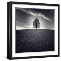 Se Va La Vida-Luis Beltran-Framed Photographic Print