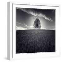 Se Va La Vida-Luis Beltran-Framed Photographic Print