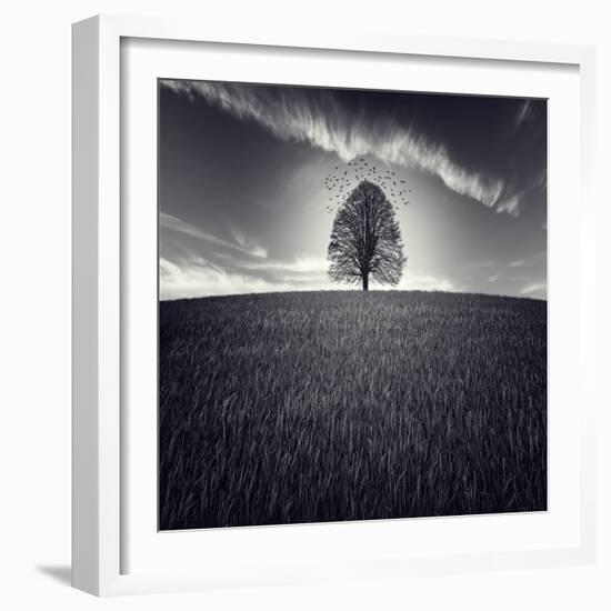 Se Va La Vida-Luis Beltran-Framed Photographic Print