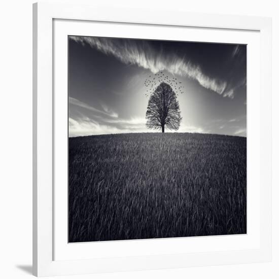 Se Va La Vida-Luis Beltran-Framed Photographic Print